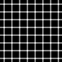 grid illusion