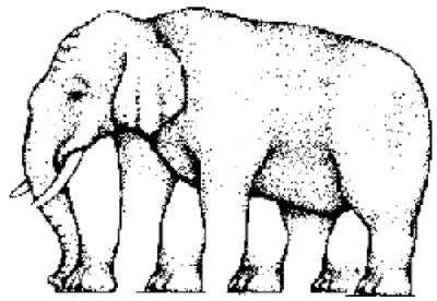 illusie olifant
